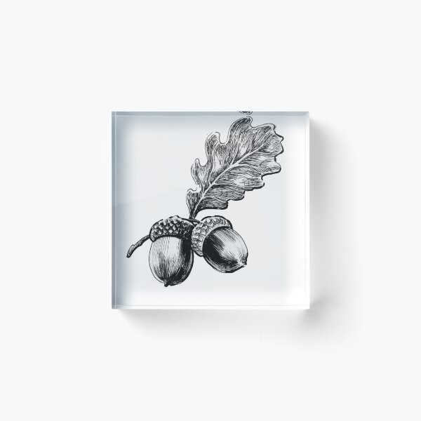 Item preview, Pair of acorns designed and sold by AlexBlackSea.