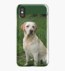 labrador retriever yellow sitting in grass iPhone Case