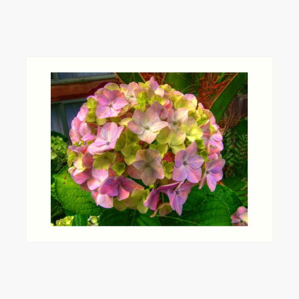 Bouquette Art Print