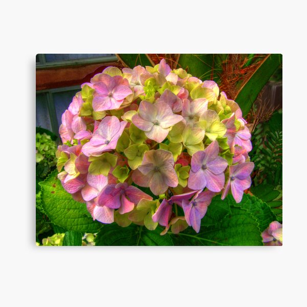 Bouquette Canvas Print