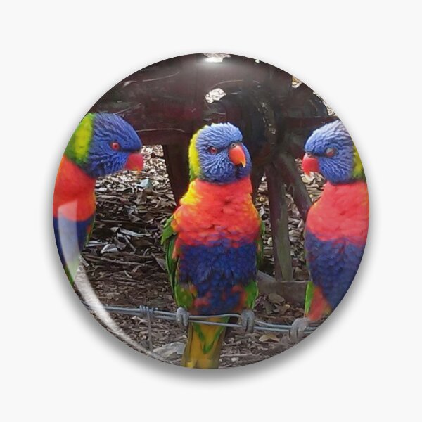 Item preview, Lorikeets  designed and sold by Lavender777.