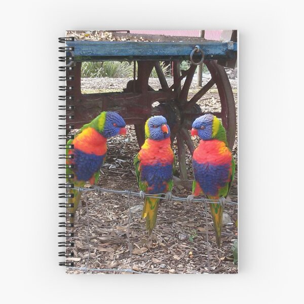 Item preview, Lorikeets  designed and sold by Lavender777.