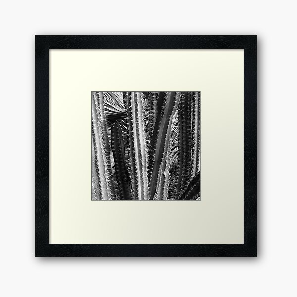 Item preview, Modern Contemporary Cactus Close-Up Exotic Photo Art designed and sold by DEC02.