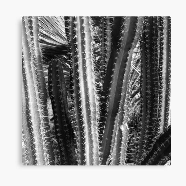 Item preview, Modern Contemporary Cactus Close-Up Exotic Photo Art designed and sold by DEC02.