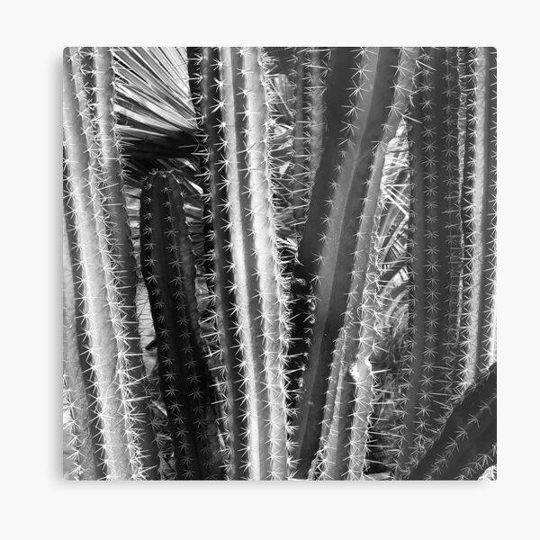 Item preview, Modern Contemporary Cactus Close-Up Exotic Photo Art designed and sold by DEC02.