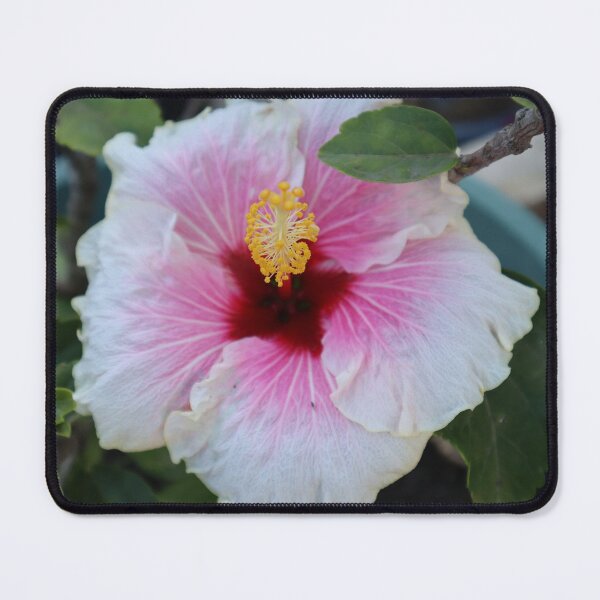 Aperçu de l'œuvre Fleur d'hibiscus créée et vendue par Lavender777.