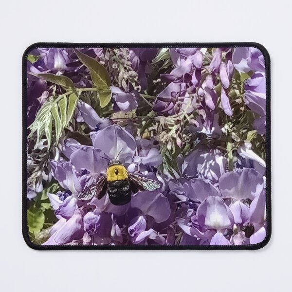 Aperçu de l'œuvre Glycine créée et vendue par Lavender777.