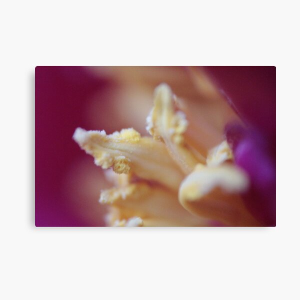 Item preview, Yellow Flower Macro Art Print designed and sold by EarthFlowerPics.