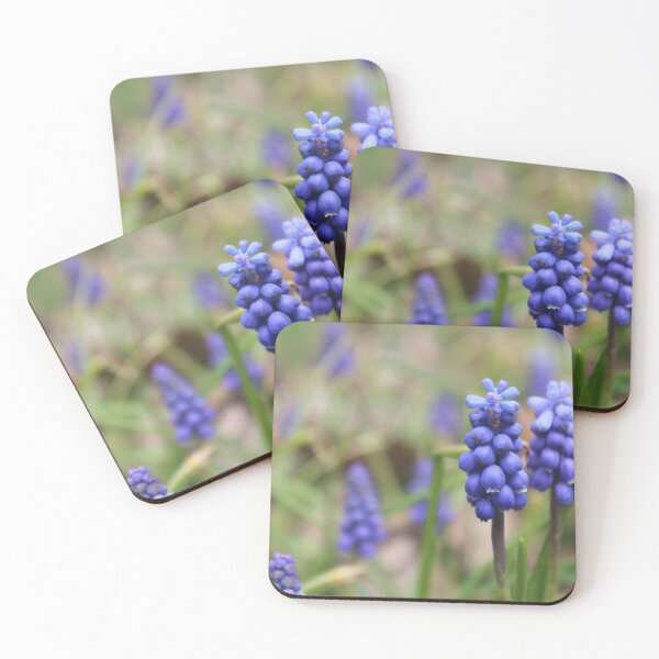 Item preview, Pair of Grape Hyacinth  Flowers Poster designed and sold by EarthFlowerPics.