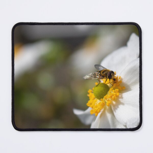 Item preview, A yellow and black fly on a white flower  designed and sold by Camille Bouchard.