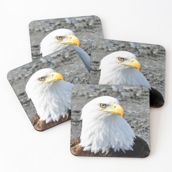 Item preview, Bald Eagle Bust designed and sold by purplesensation.