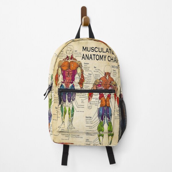 Item preview, Massage Therapist Muscular Anatomy Chart   designed and sold by SameeraDammeyer.