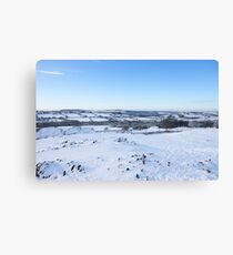 winter landscape Canvas Print