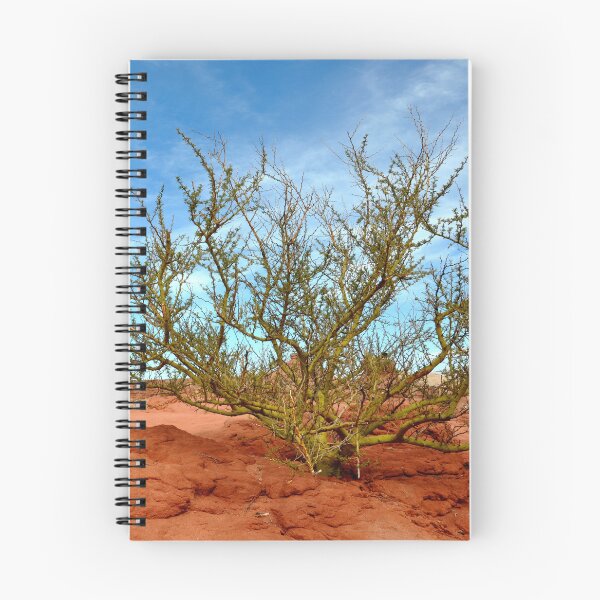 Item preview, Argentina - Quebrada de las Conchas designed and sold by franck380.