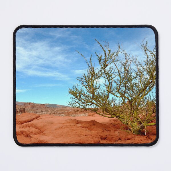 Item preview, Argentina - Quebrada de las Conchas designed and sold by franck380.