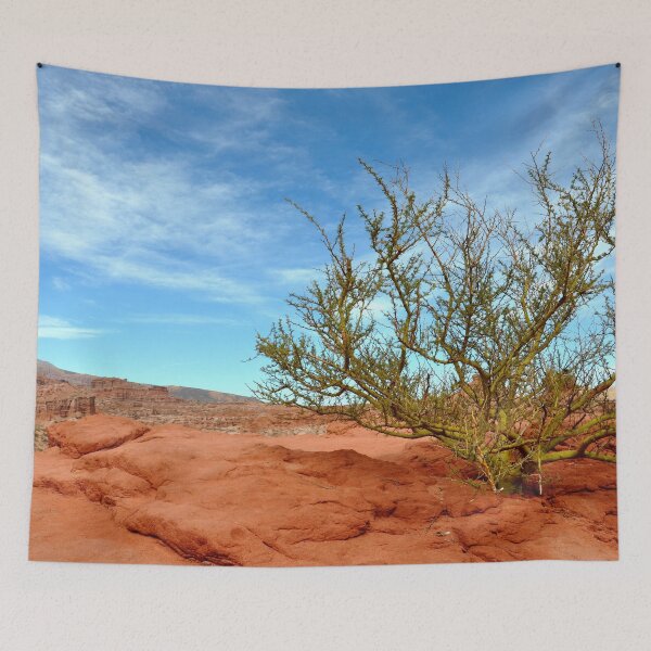 Item preview, Argentina - Quebrada de las Conchas designed and sold by franck380.