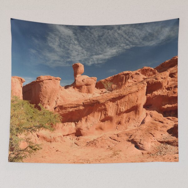 Item preview, Argentina - Quebrada de las Conchas designed and sold by franck380.