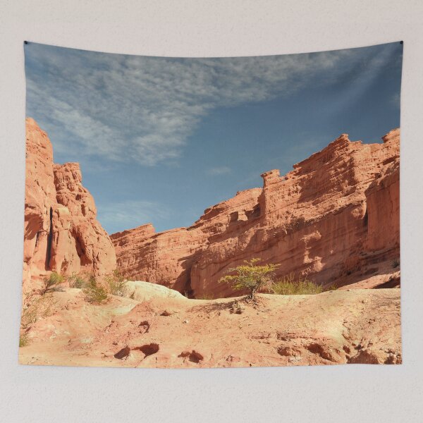 Item preview, Argentina - Quebrada de las Conchas designed and sold by franck380.