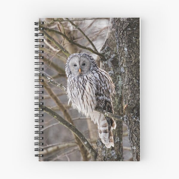 Item preview, Ural owl (Strix uralensis) designed and sold by Piotr Front.