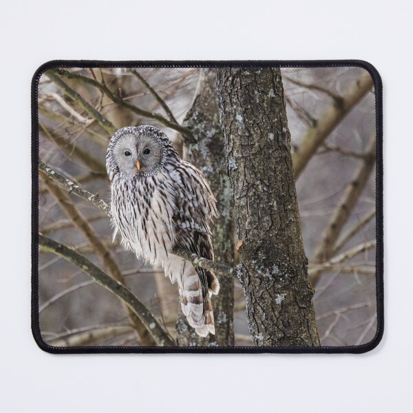 Item preview, Ural owl (Strix uralensis) designed and sold by Piotr Front.