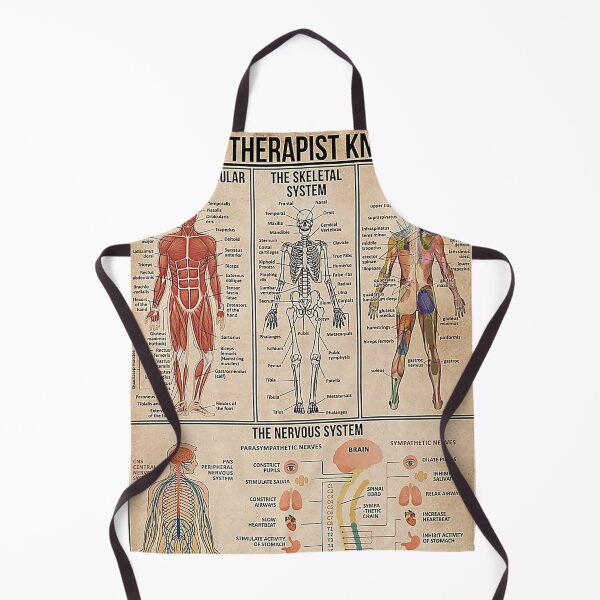 Item preview, Massage Therapist Muscular System designed and sold by SameeraDammeyer.