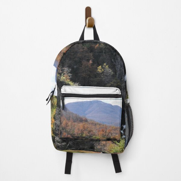 Item preview, Argentina - RN40 from Bariloche to San Martin de Los Andes designed and sold by franck380.