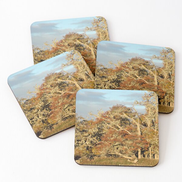 Item preview, Ruta Argentina - Chile hacia Ushuaia designed and sold by franck380.