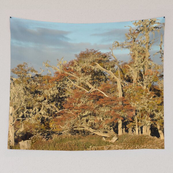Item preview, Argentina - Chile to Ushuaia Route designed and sold by franck380.