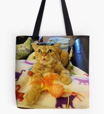 Neuro Dan - Feather Dan "Playing on Blankets Mountain" Tote Bag