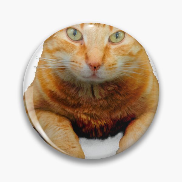 Item preview, Cat in a pocket designed and sold by BiblioFoxstore.