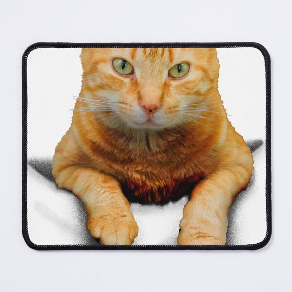 Item preview, Cat in a pocket designed and sold by BiblioFoxstore.