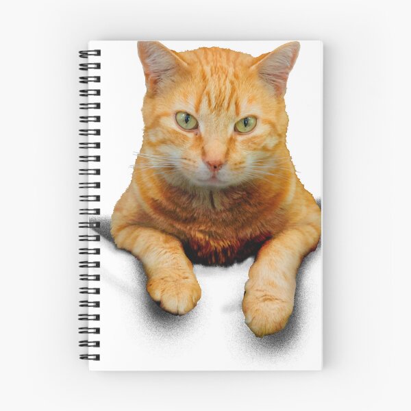 Item preview, Cat in a pocket designed and sold by BiblioFoxstore.