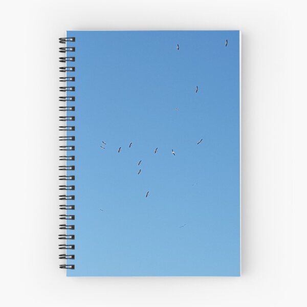 Item preview, Storks in the sky designed and sold by Tw1nsAIArt.