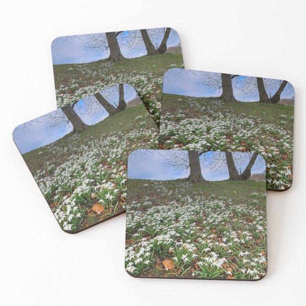 Item preview, Heralds of Spring designed and sold by Martyn R Arnold Fine Art Nature & Landscape Photography.