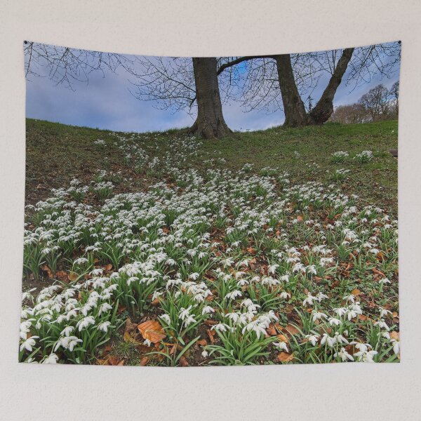Item preview, Heralds of Spring designed and sold by Martyn R Arnold Fine Art Nature & Landscape Photography.