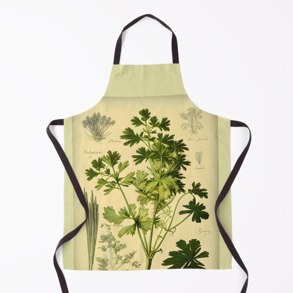 Item preview, Botanical illustration, Parsley designed and sold by digitalbrosse.