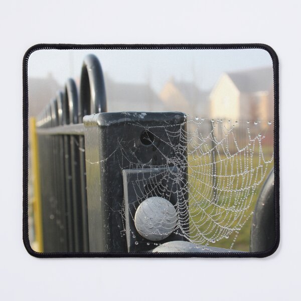 Item preview, Cobweb designed and sold by Vicki Spindler (VHS Photography).