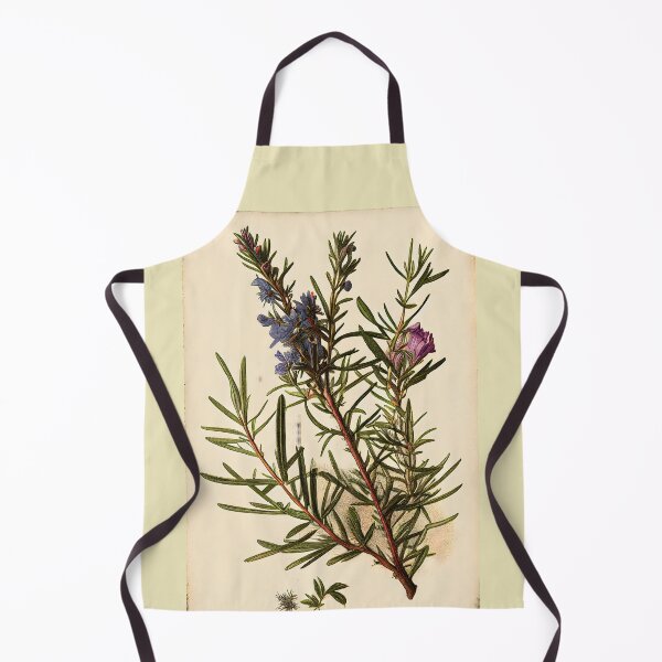 Item preview, Botanical illustration: Rosemary designed and sold by digitalbrosse.