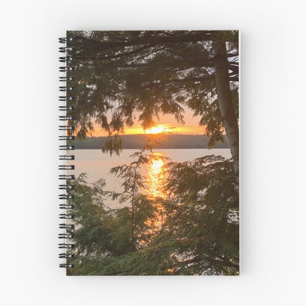 Aperçu de l'œuvre Coucher du soleil à travers les arbres sur le lac créée et vendue par RPoli3.