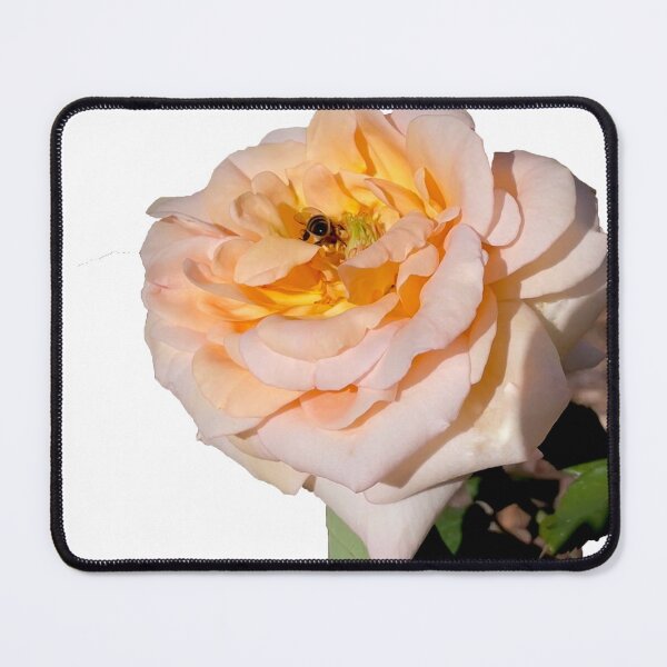 Item preview, The Gundagai Rose designed and sold by KazM.