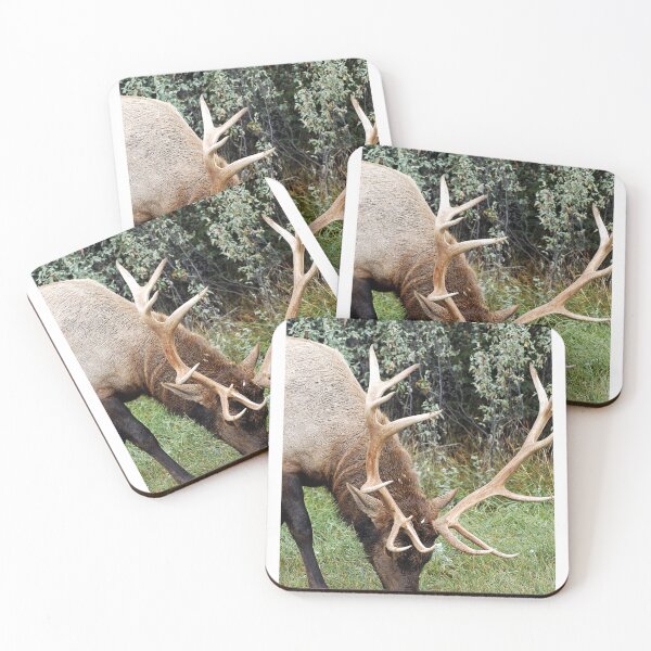 Item preview, Big Racks - Jasper National Park - Alberta - Canada designed and sold by paolo1955.