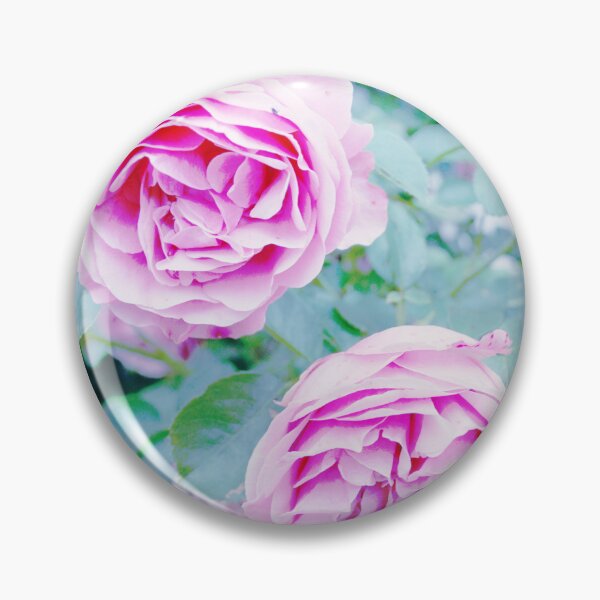 Item preview, Romantic Pink Garden Rose Light Blue Background Vintage Photo designed and sold by Karen Ekdahl.