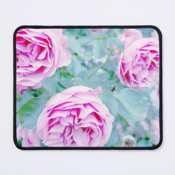 Item preview, Romantic Pink Garden Rose Light Blue Background Vintage Photo designed and sold by Karen Ekdahl.