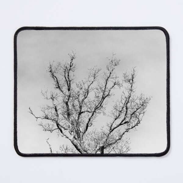 Item preview, Winter Treetops designed and sold by Tanya C  Smith.
