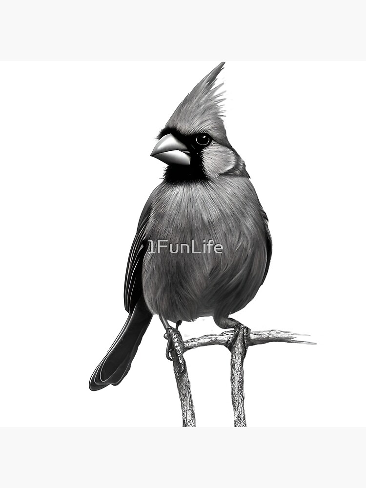 Dessin cardinal en noir et blanc Oiseau dessin monochrome Poster