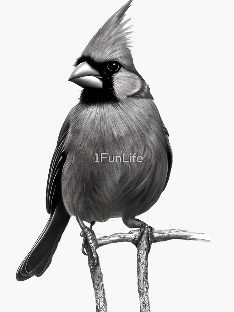 Black and White Blue Jay Sticker for Sale by Pencil-Art