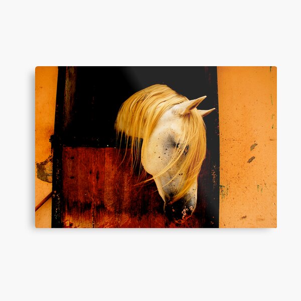 Ibero, a horse I met recently & deserved better Metal Print