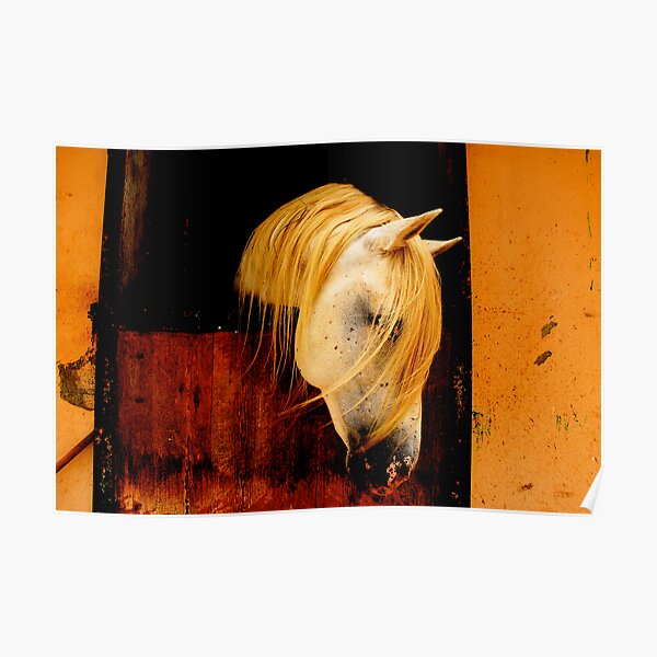 Ibero, a horse I met recently & deserved better Poster