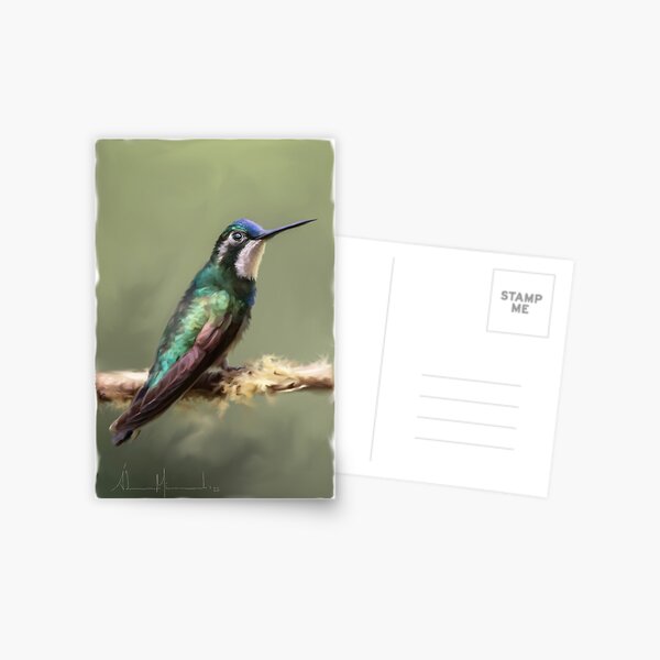 Item preview, White Talamanca Hummingbird designed and sold by Alvaro-Miranda.