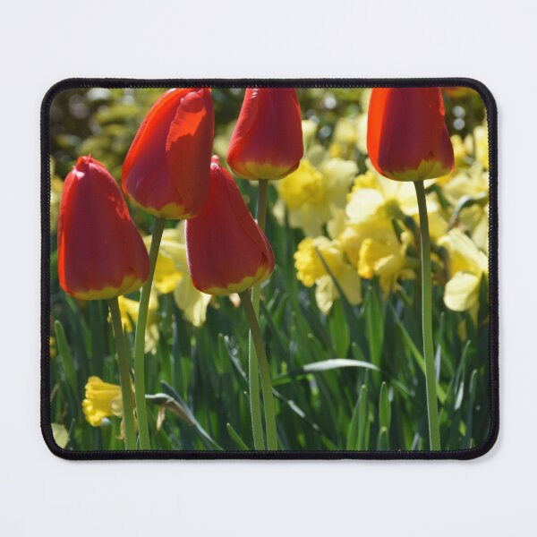 Item preview, The first flowers in spring designed and sold by Claude Laprise.